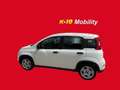 Fiat Panda Pequeño Manual de 5 Puertas Blanco - thumbnail 4