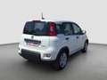 Fiat Panda Pequeño Manual de 5 Puertas Blanco - thumbnail 6