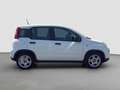 Fiat Panda Pequeño Manual de 5 Puertas Blanco - thumbnail 7