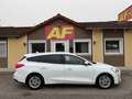 Ford Focus Traveller 1,5 EcoBlue Titanium Business |... Weiß - thumbnail 3