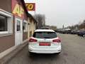 Ford Focus Traveller 1,5 EcoBlue Titanium Business |... Weiß - thumbnail 5