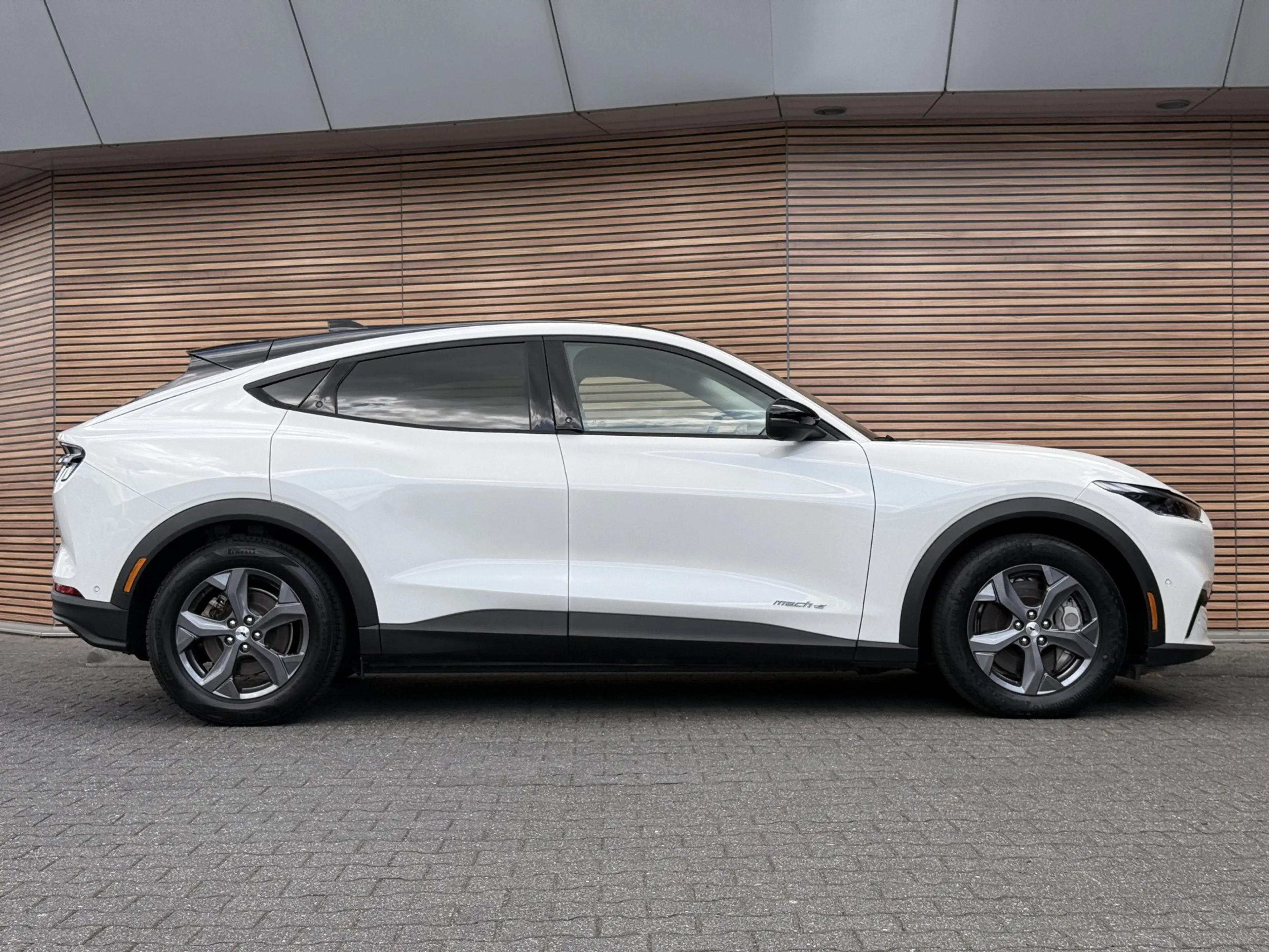 Ford Mustang Mach-E Standerd Range 76 kWh, Pano — photo 7