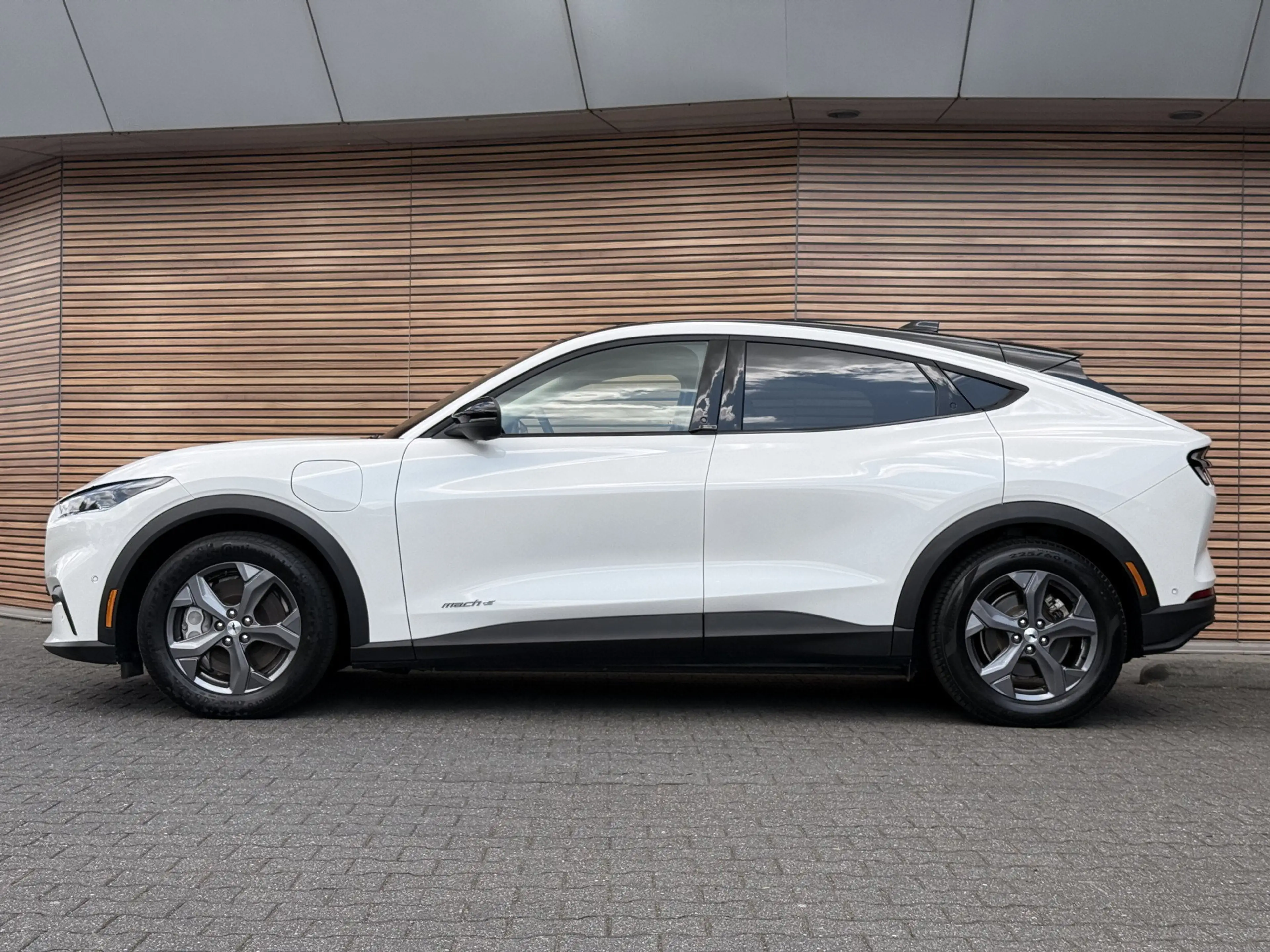 Ford Mustang Mach-E Standerd Range 76 kWh, Pano — photo 6