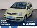 Fiat Panda Panda 1,2 ECO Dynamic Klima 1-Jahr Garantie Gelb - thumbnail 1