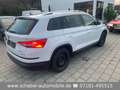 Skoda Kodiaq Style 4x4 2.0TSI DSG NAVI AHK LED 7-Sitze Weiß - thumbnail 3