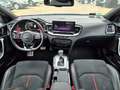 Kia ProCeed / pro_cee'd Kia ProCeed GT Navi Bi-LED Alcantara DAB Virtual Bleu - thumbnail 10