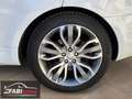 Land Rover Range Rover Sport Range Rover Sport 3.0 TDV6 HSE Dynamic - MOTORE N Blanc - thumbnail 25