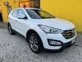 Hyundai SANTA FE Santa Fe 2.0 crdi Comfort 4wd Bianco - thumbnail 3