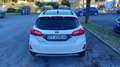 Ford Fiesta Fiesta Active 1.0 ecoboost s Bianco - thumbnail 6