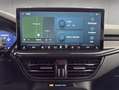 Ford Focus Turnier 1.5 EcoBlue Aut. ST-LINE X LED AHK N Schwarz - thumbnail 15