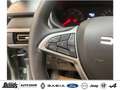 Dacia Sandero Stepway ECO-G 100 Extreme+  SITZHEIZUNG NAVI PDC Grün - thumbnail 12
