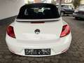Volkswagen Beetle Cabriolet Design LED NAVI DAB Weiß - thumbnail 3