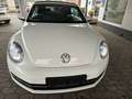 Volkswagen Beetle Cabriolet Design LED NAVI DAB Weiß - thumbnail 4