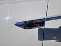 Volkswagen Tiguan Tiguan 2.0 TDI SCR DSG 4MOTION R-line Blanc - thumbnail 9