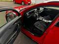 Audi RS4 2.9 TFSI quattro APR crvena - thumbnail 6
