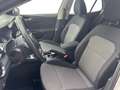 Skoda Fabia 1.0 TSI Ambition LED*SMART-LINK*SHZ*PDC*TEMPO*B... Weiß - thumbnail 11