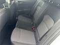 Skoda Fabia 1.0 TSI Ambition LED*SMART-LINK*SHZ*PDC*TEMPO*B... Weiß - thumbnail 17