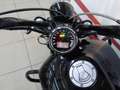 Indian Scout Negro - thumbnail 4