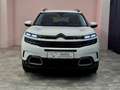 Citroen C5 Aircross Feel II AHK II LED II 180 Grad Kamera Bianco - thumbnail 1