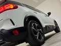 Citroen C5 Aircross Feel II AHK II LED II 180 Grad Kamera Bianco - thumbnail 11