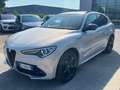 Alfa Romeo Stelvio Stelvio 2.2 t Veloce Ti Q4 210cv auto Grigio - thumbnail 3