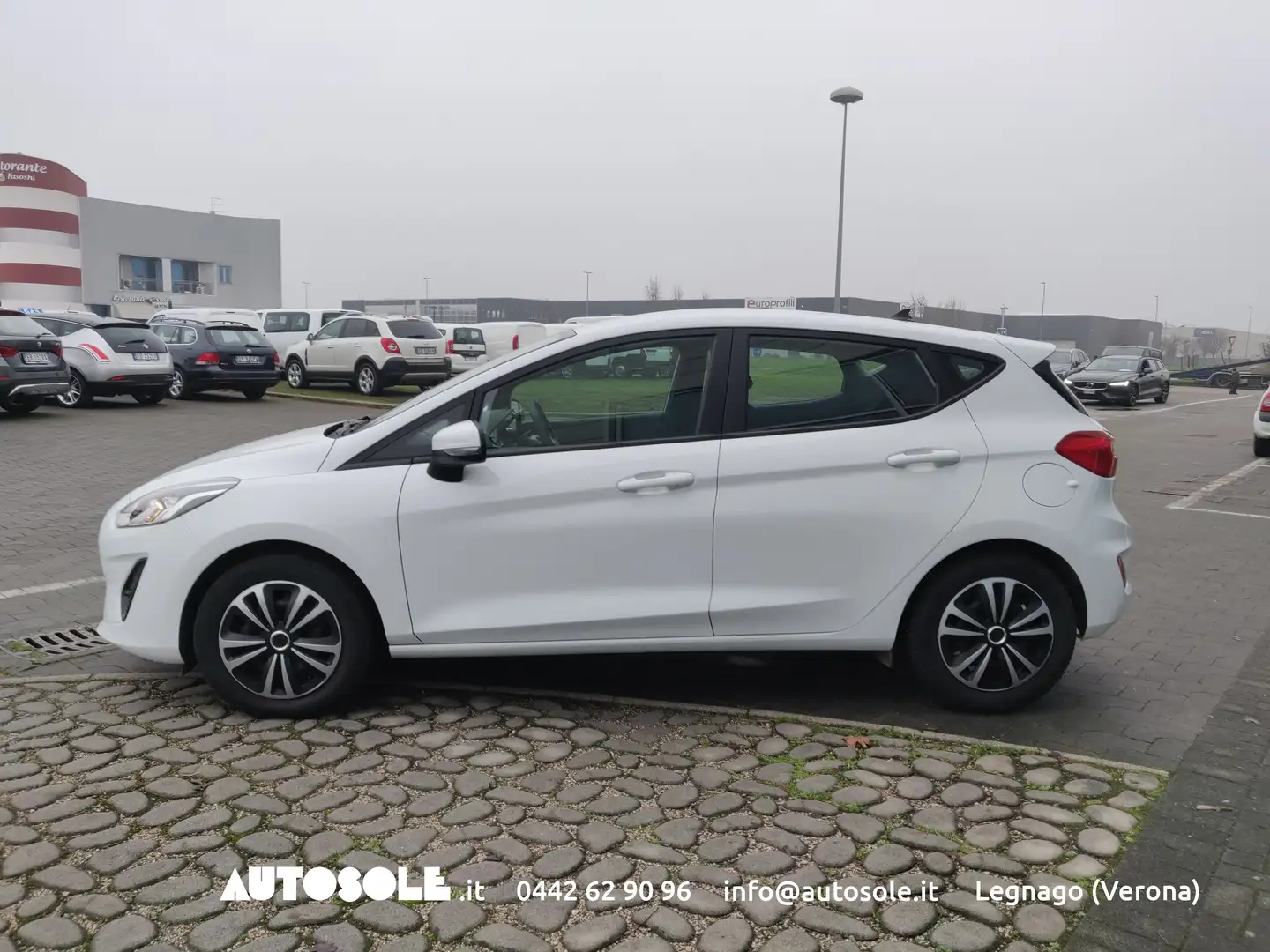 Ford Fiesta 5p 1.5 Ecoblue Business Bianco - 2