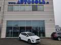 Ford Fiesta 5p 1.5 Ecoblue Business Bianco - thumbnail 9