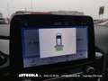 Ford Fiesta 5p 1.5 Ecoblue Business Bianco - thumbnail 7