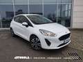 Ford Fiesta 5p 1.5 Ecoblue Business Bianco - thumbnail 1