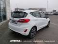 Ford Fiesta 5p 1.5 Ecoblue Business Bianco - thumbnail 3