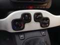 Fiat Panda Panda 1.0 firefly hybrid s&s 70cv 5p.ti Rosso - thumbnail 10