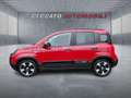 Fiat Panda Panda 1.0 firefly hybrid s&s 70cv 5p.ti Rosso - thumbnail 2