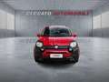 Fiat Panda Panda 1.0 firefly hybrid s&s 70cv 5p.ti Rosso - thumbnail 4