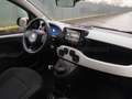 Fiat Panda Panda 1.0 firefly hybrid s&s 70cv 5p.ti Rosso - thumbnail 7