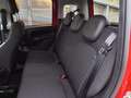 Fiat Panda Panda 1.0 firefly hybrid s&s 70cv 5p.ti Rosso - thumbnail 14
