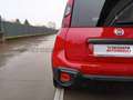 Fiat Panda Panda 1.0 firefly hybrid s&s 70cv 5p.ti Rosso - thumbnail 19