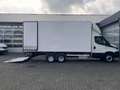 Iveco Daily 35C16D Koelvries wagen -20° 3690 kg laadvermogen B Blanc - thumbnail 18