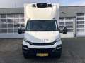Iveco Daily 35C16D Koelvries wagen -20° 3690 kg laadvermogen B Blanc - thumbnail 15