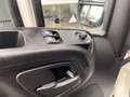 Iveco Daily 35C16D Koelvries wagen -20° 3690 kg laadvermogen B Blanc - thumbnail 9