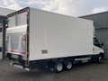 Iveco Daily 35C16D Koelvries wagen -20° 3690 kg laadvermogen B Blanc - thumbnail 36