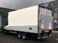 Iveco Daily 35C16D Koelvries wagen -20° 3690 kg laadvermogen B Blanc - thumbnail 34