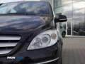 Mercedes-Benz B 180 B 180 cdi Premium Nero - thumbnail 9
