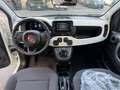 Fiat Panda 1.0 FireFly S&S Hybrid Pandina Cross-Navi-Carplay Bianco - thumbnail 2
