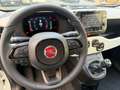 Fiat Panda 1.0 FireFly S&S Hybrid Pandina Cross-Navi-Carplay Bianco - thumbnail 13
