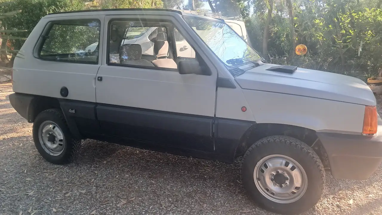 Fiat Panda 1.0 4x4 my83, foto 8