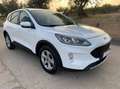 Ford Kuga 1.5 ecoblue Connect 2wd 120cv auto - thumbnail 3