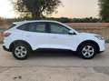 Ford Kuga 1.5 ecoblue Connect 2wd 120cv auto - thumbnail 5