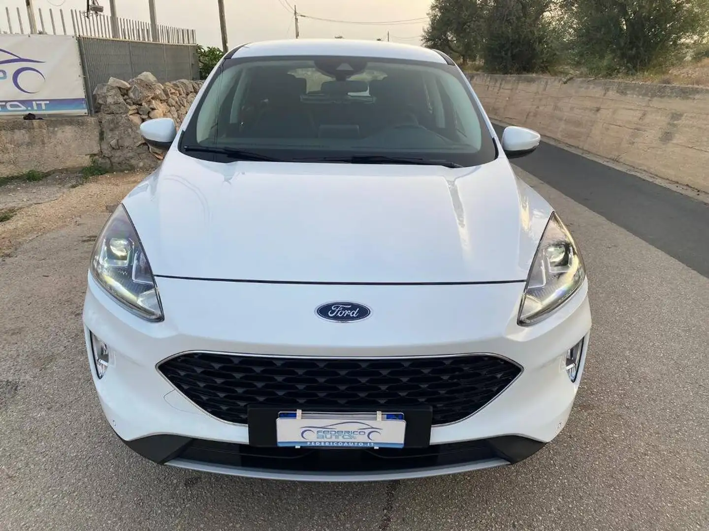 Ford Kuga 1.5 ecoblue Connect 2wd 120cv auto - 2
