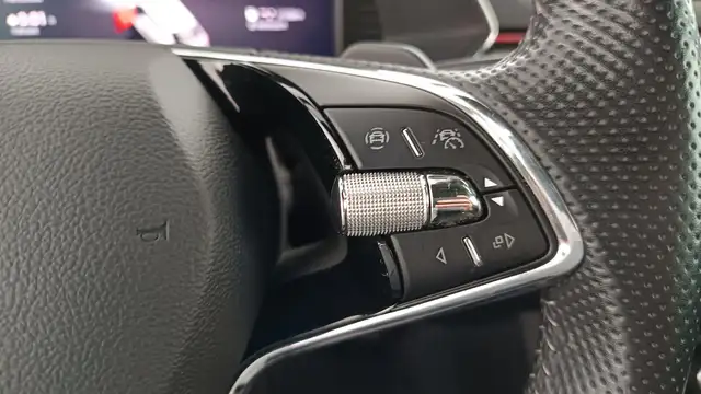 Skoda Superb view 17