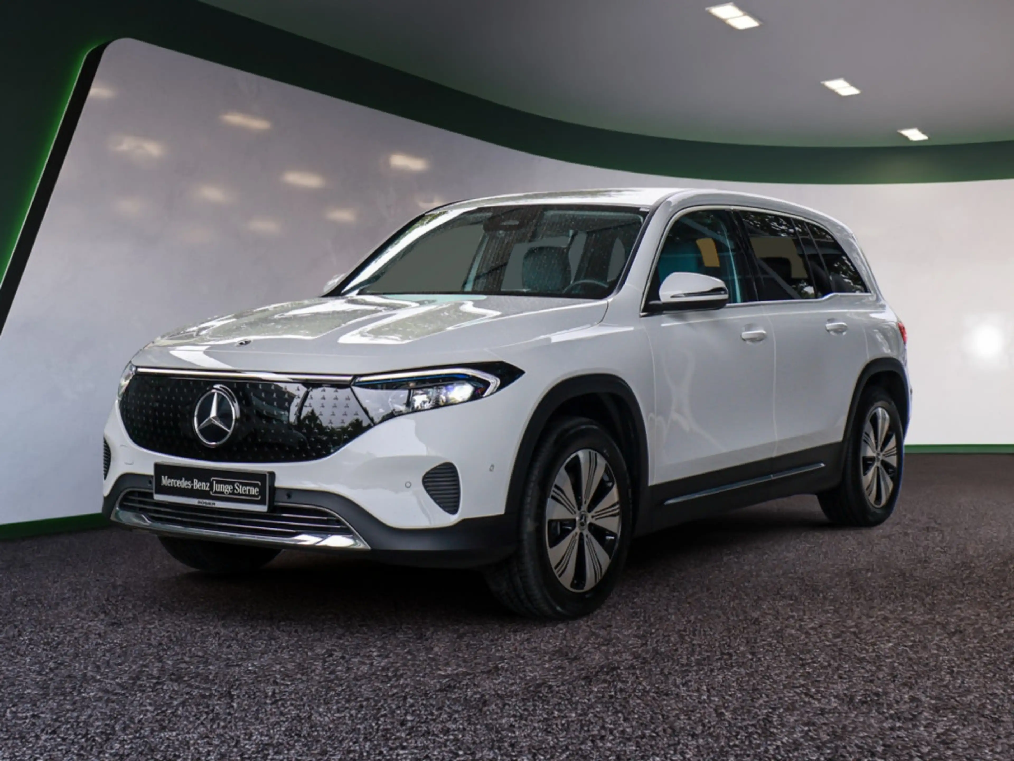 Mercedes-Benz EQB 250 + Progressive Advanced LED NAVI KAMERA — photo 2